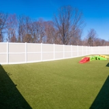 Outdoor Yard for Dogs To Play
