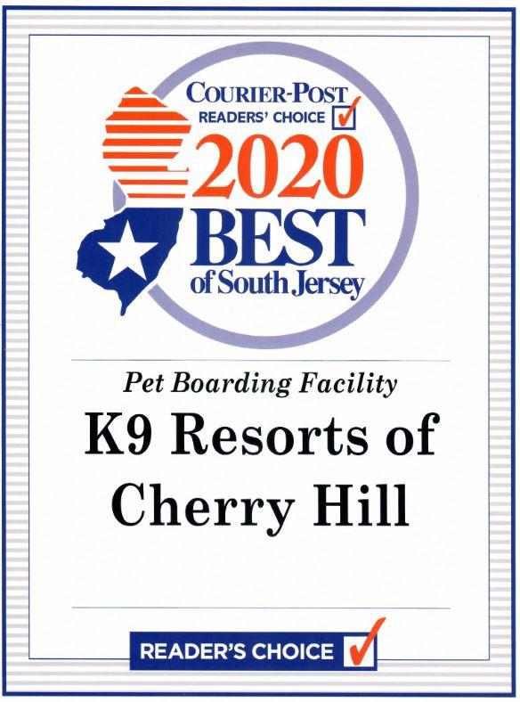 2020 Best of South Jersey