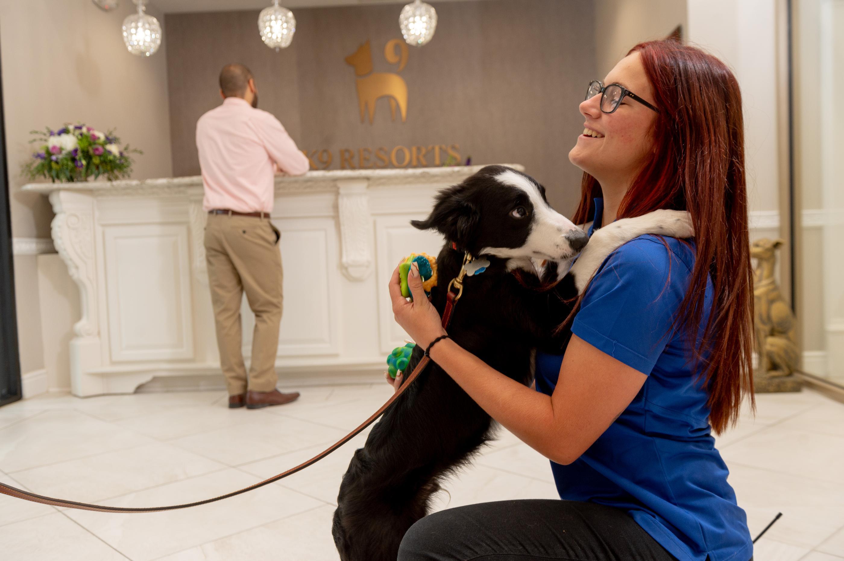 K9 Resorts Takes Flight with 11-Unit Agreement in Los Angeles; Marks First Location Near an Airport