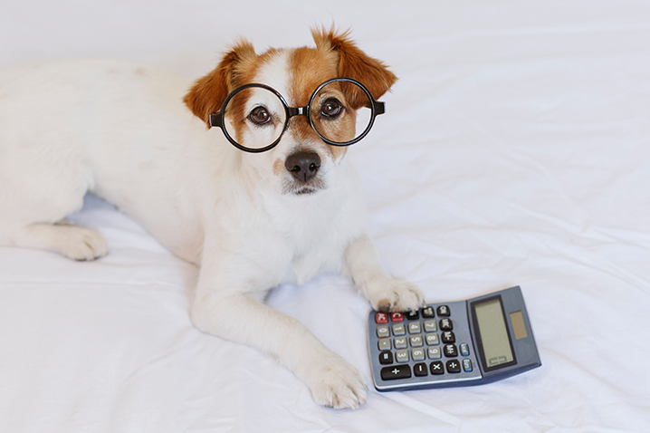 How Much Does a Dog Boarding Business Make? A Look at the Profitability of Dog Daycare
