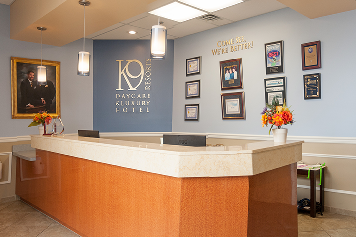 K-9 Resorts is More Than Just Doggie Day Care