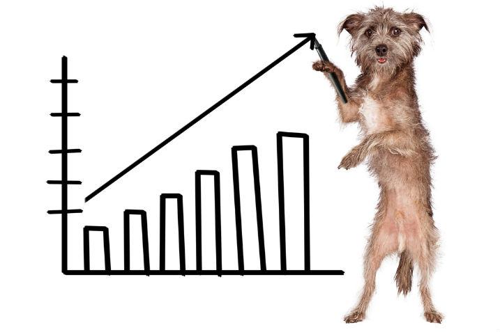 Will the Pet Industry Ever Fade?